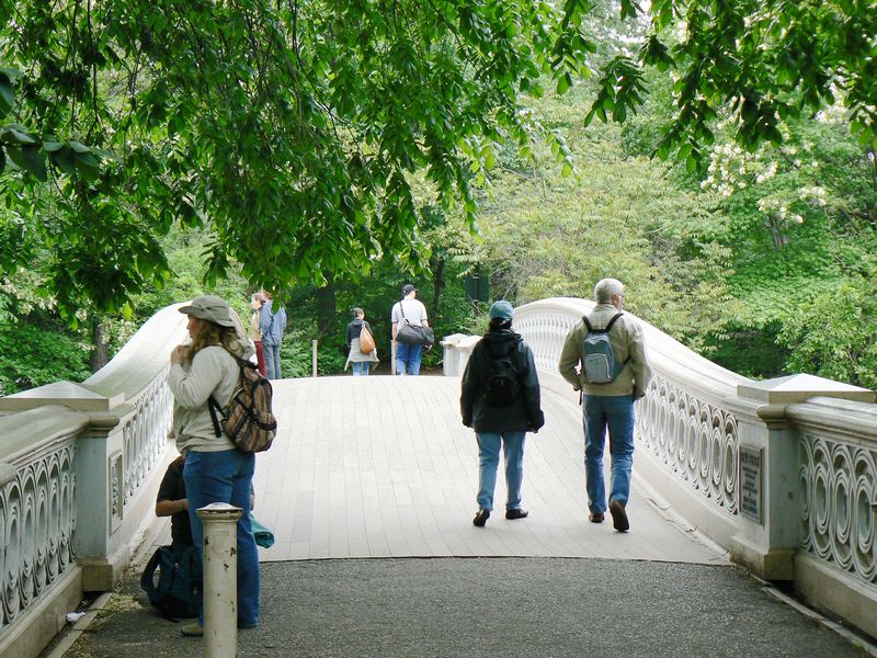 Central Park et autour: Bow Bridge